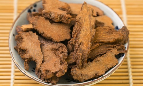 得了肾综合征病要多长时间治疗好-有肾综合症要注意什么症状网 | 肾综合症患者最禁忌吃什么,肾综合征最怕三个东西
