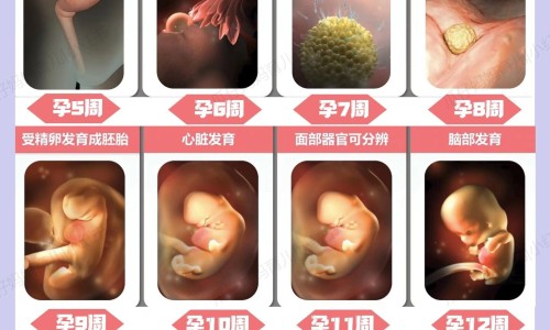 有肾综合症要注意什么症状网 | 肾综合症患者最禁忌吃什么,肾综合征最怕三个东西